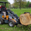 Giant D254SW Compact Wheel Loader